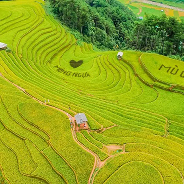 Tour Du Lịch Mù Cang Chải 3 Ngày 2 Đêm