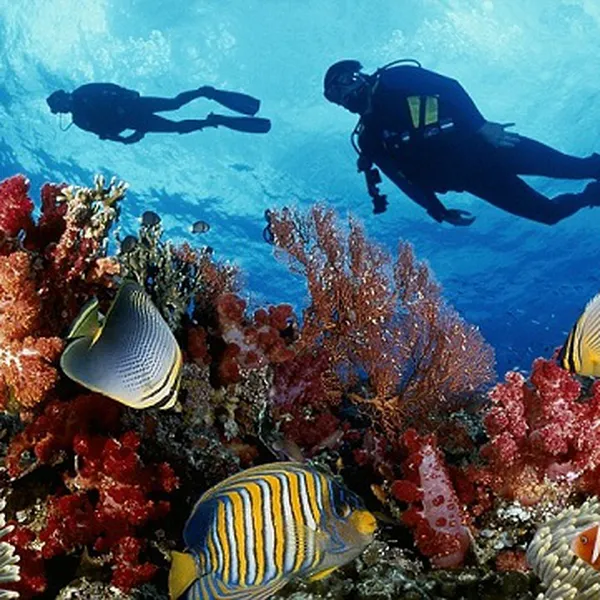 Tour Du Lịch Cần Thơ Đi Đảo Bình Ba - Nha Trang