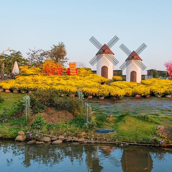 Tour Du Lịch Đà Lạt 3 Ngày 3 Đêm Lễ 30/04 - 01/05