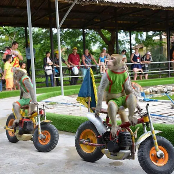 Tour Nha Trang 3 Ngày 2 Đêm