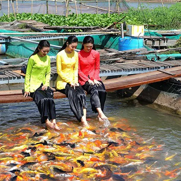 Tour Du Lịch Miền Tây 2 Ngày 1 Đêm