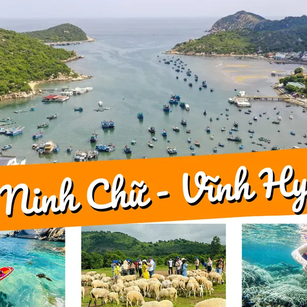 Tour Bình Hưng Vĩnh Hy 2N2Đ Tết Dương Lịch