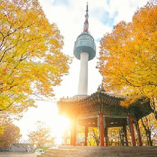Tour Du Lịch Hàn Quốc 5 Ngày 4 Đêm Seoul - Nami - Everland