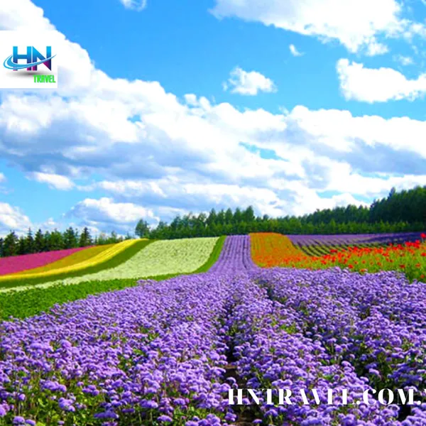 TOUR SÀI GÒN – ĐÀ LẠT KHÁM PHÁ THÀNH PHỐ NGÀN HOA