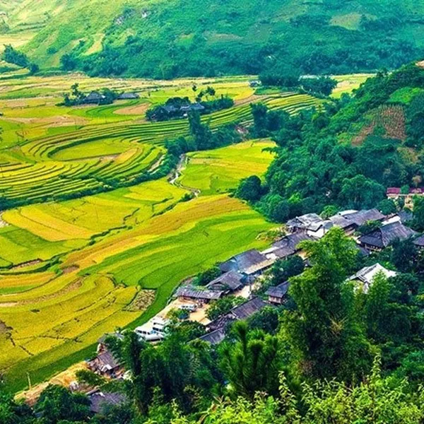 Tour Du Lịch Mù Cang Chải 3 Ngày 2 Đêm