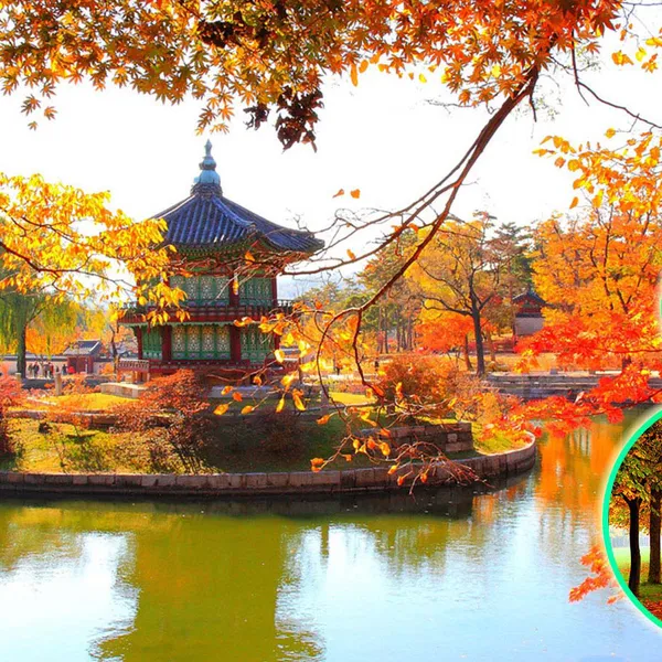 Tour Hàn Quốc Seoul - Lotte Aquarium - Đảo Nami 4 Ngày 3 Đêm