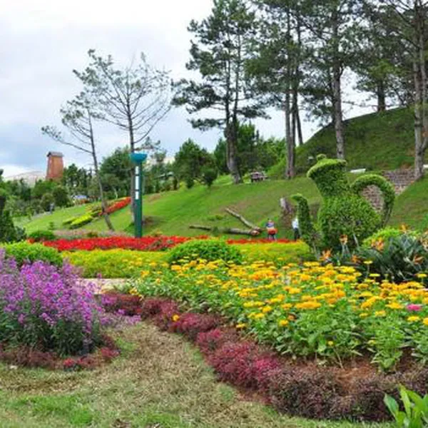 Tour Đà Lạt Khởi Hành Từ Sóc Trăng