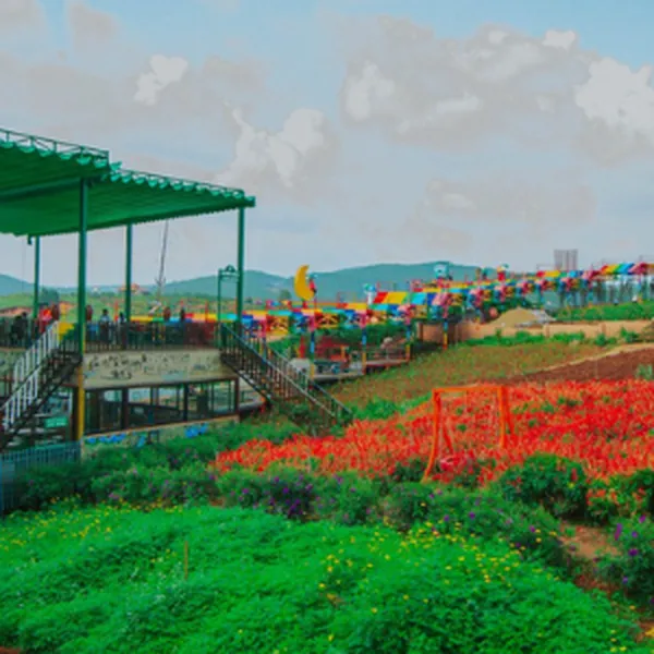 Tour Đà Lạt Khởi Hành Từ Tây Ninh