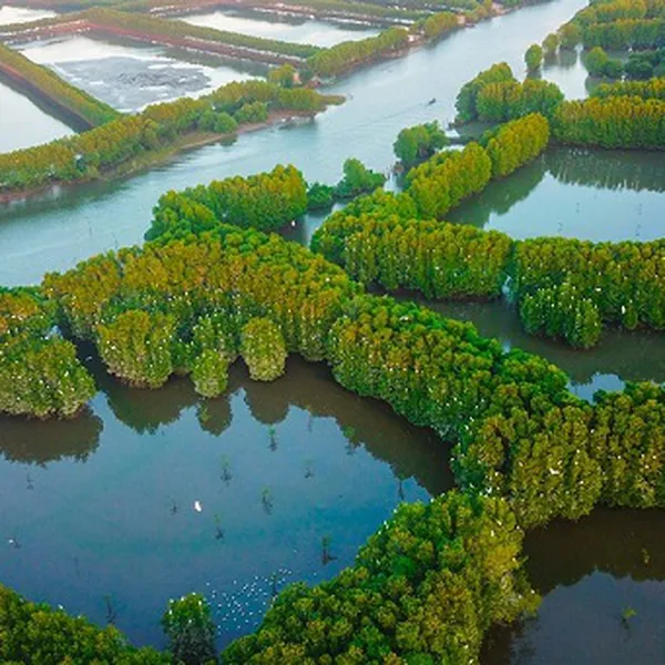 Tour Du Lịch Quy Nhơn 4 Ngày 3 Đêm Giá Rẻ