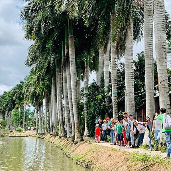Tour Cần Thơ từ TP Hồ Chí Minh 2 ngày 1 đêm