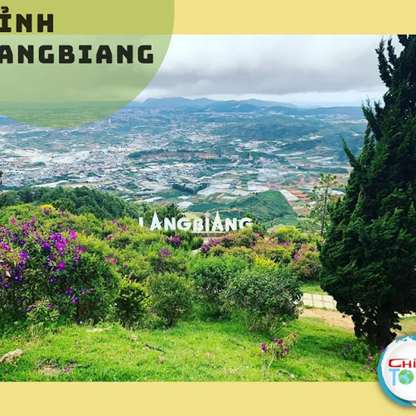Tour Đà Lạt Khởi Hành Từ Bến Tre