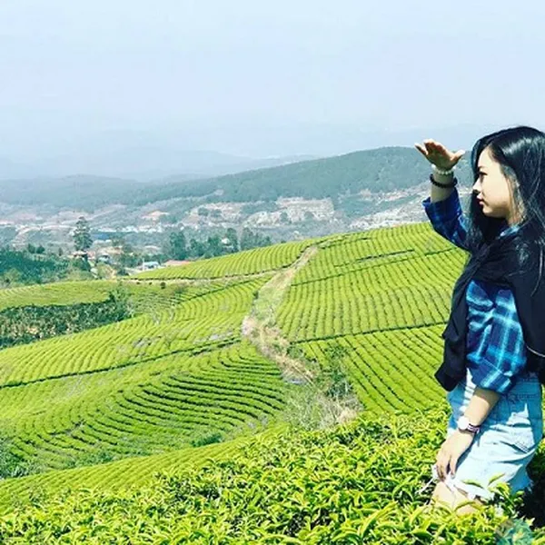 Tour Đà Lạt Khởi Hành Từ Long Xuyên An Giang