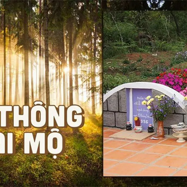 Tour Đà Lạt Khởi Hành Từ Kiên Giang
