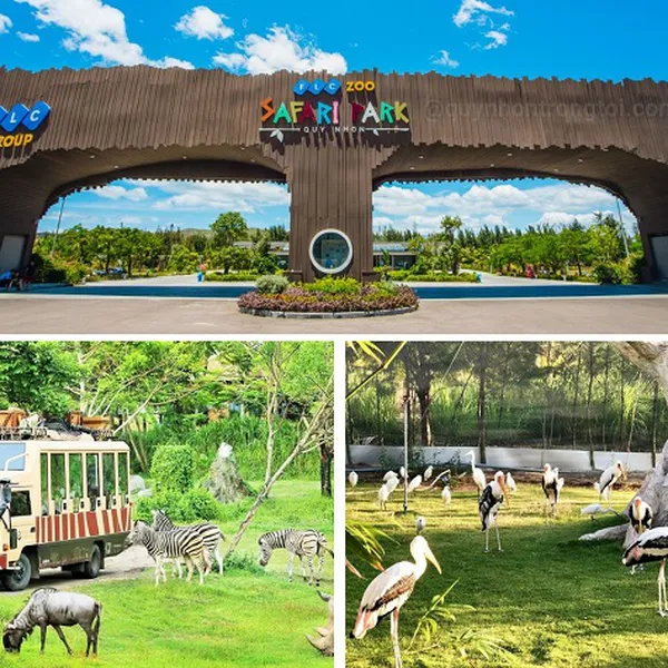 Tour Quy Nhơn Kỳ Co - Eo Gió 3 Ngày 2 Đêm