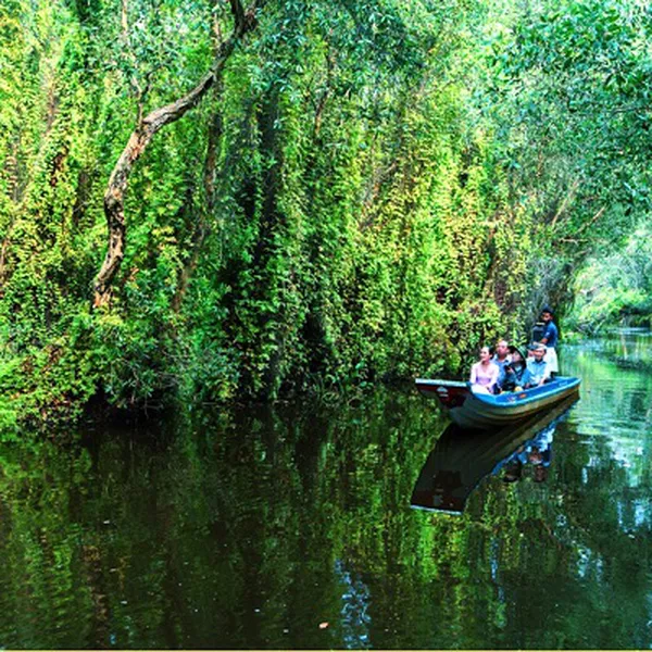 Tour Long An - Làng Nổi Tân Lập - Cánh Đồng Bất Tận