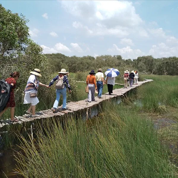 Tour Long An - Làng Nổi Tân Lập - Cánh Đồng Bất Tận