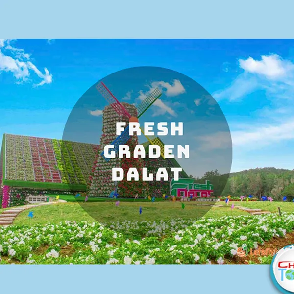 Tour Đà Lạt Khởi Hành Từ Bến Tre