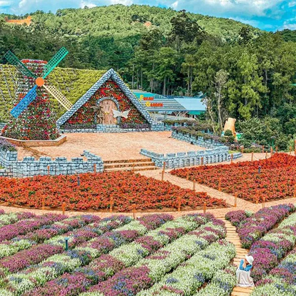 Tour Đà Lạt Khởi Hành Từ Bình Thuận