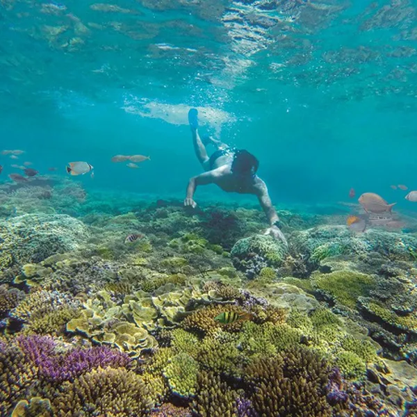 Tour Du Lịch Quy Nhơn 4 Ngày 3 Đêm Giá Rẻ