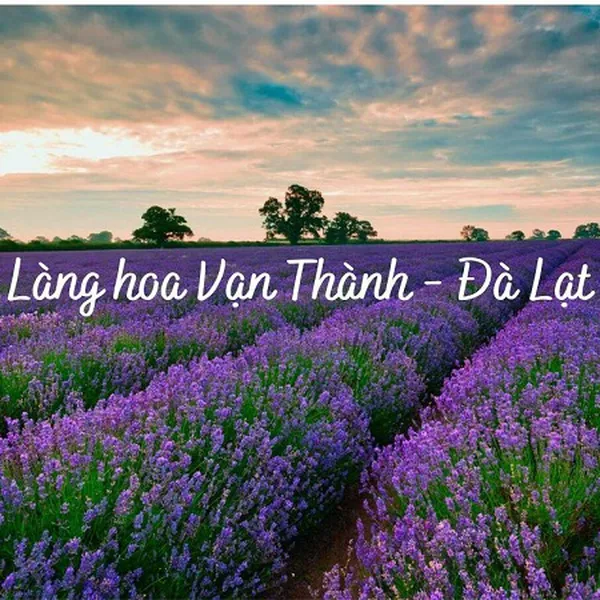 Tour Đà Lạt Khởi Hành Từ Cà Mau