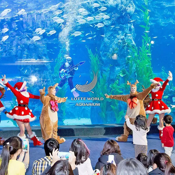 Tour Hàn Quốc Seoul - Lotte Aquarium - Đảo Nami 4 Ngày 3 Đêm