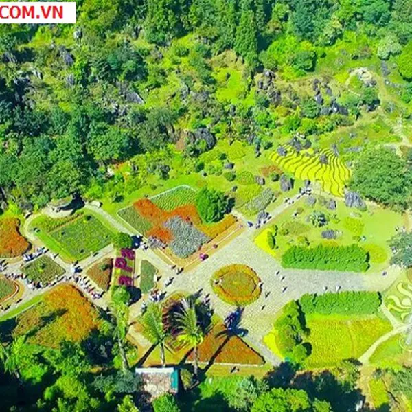 Tour Sapa Giá Rẻ