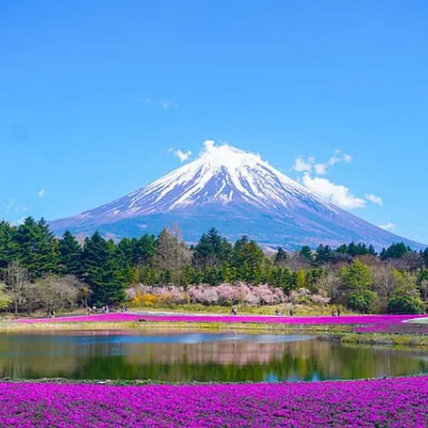 Tour Nhật Bản - Narita - Tokyo - Núi Phú Sĩ - Yamanashi