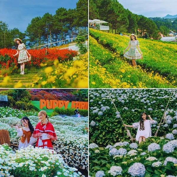 Tour Lễ 30/04 Nha Trang Đà Lạt 5 Ngày 4 Đêm