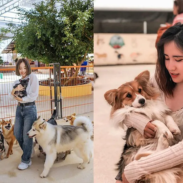 Tour Đà Lạt Khởi Hành Từ Bạc Liêu