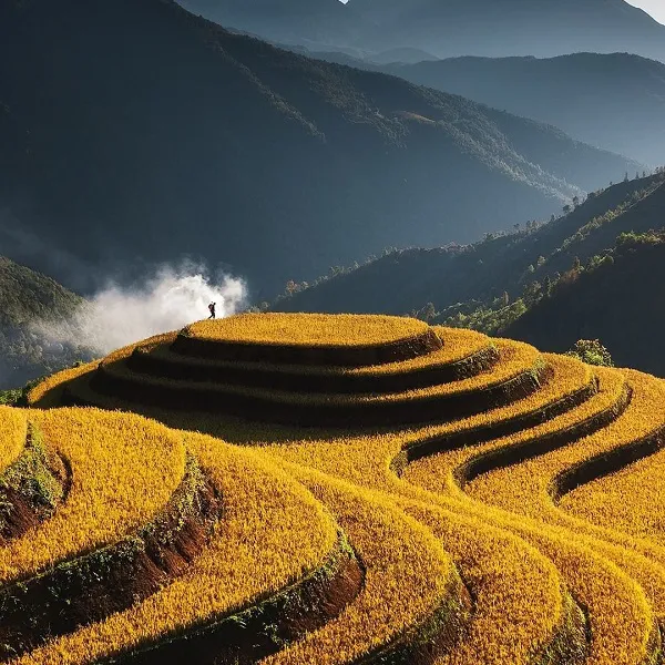 Tour Du Lịch Mù Cang Chải 3 Ngày 2 Đêm