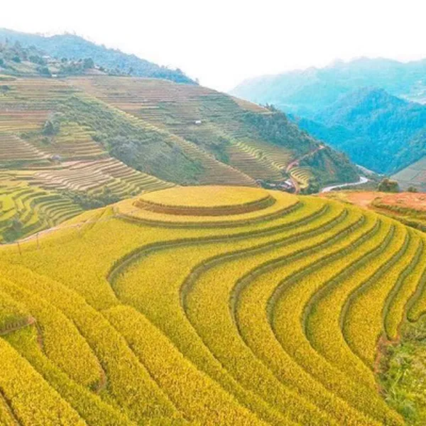 Tour Du Lịch Mù Cang Chải 3 Ngày 2 Đêm