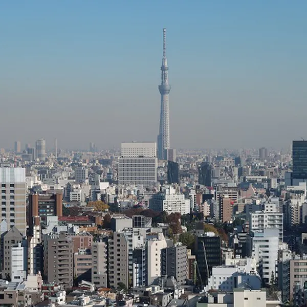 Tour Nhật Bản - Narita - Tokyo - Núi Phú Sĩ - Yamanashi