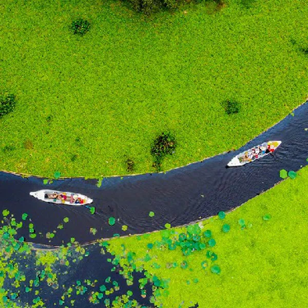 Tour Đảo Bà Lụa - Rừng tràm Trà Sư 2 ngày 2 đêm