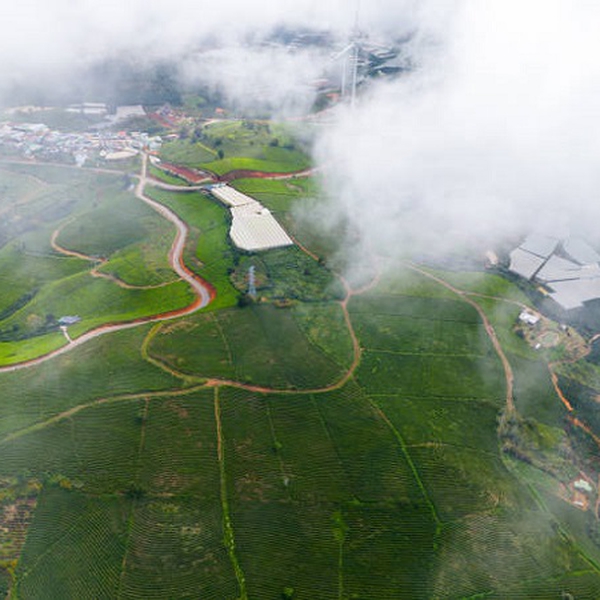 Tour Du Lịch Đà Lạt 3 Ngày 3 Đêm Lễ 30/04 - 01/05