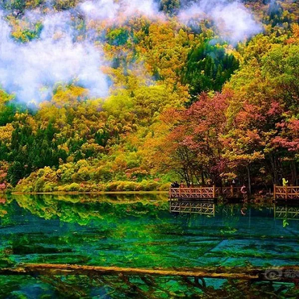 Tour Du Lịch Trung Quốc - Cửu Trại Câu - Lạc Sơn Đại Phật 6N5Đ