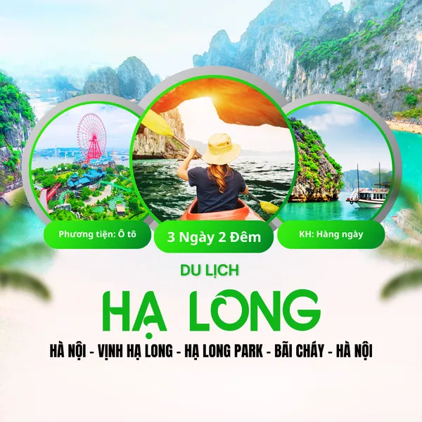 Tour Hà Nội Hạ Long 2 Ngày 1 Đêm