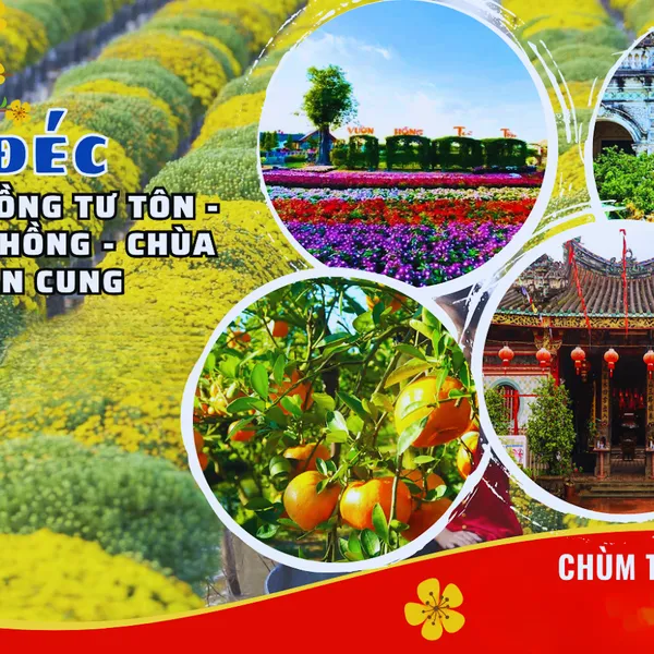 Tour Làng Hoa Sa Đéc Vườn Quýt Tết Dương Lịch
