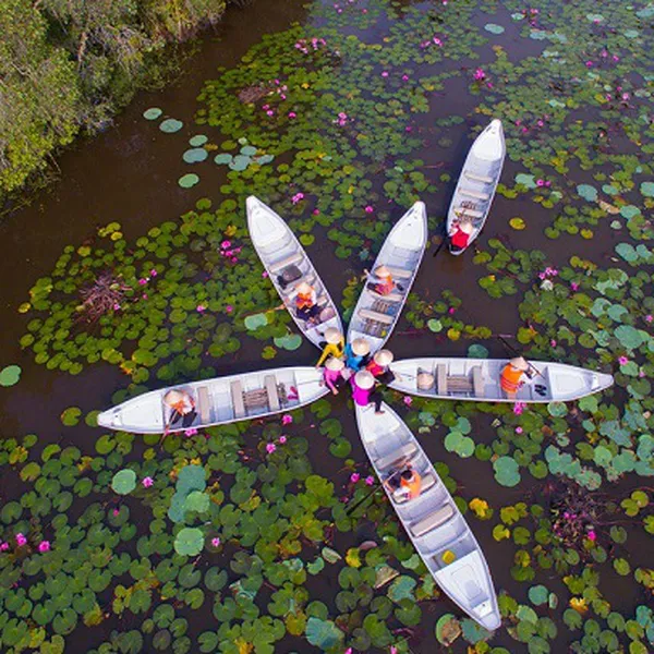 Tour Long An - Làng Nổi Tân Lập - Cánh Đồng Bất Tận