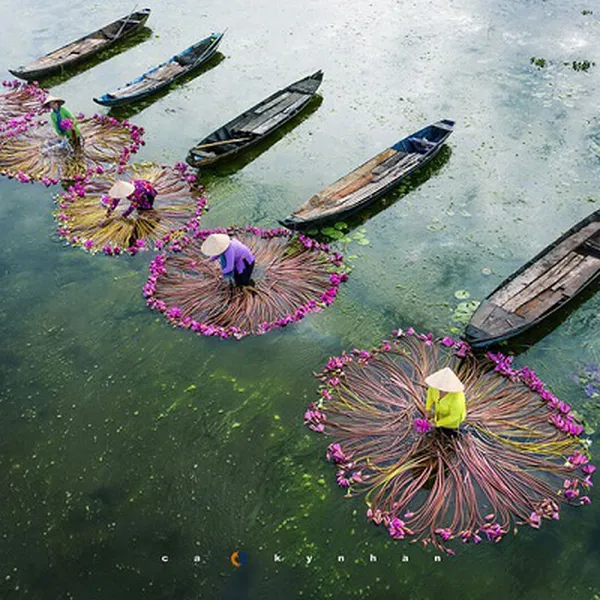 Tour Miền Tây : Mỹ Tho - Châu Đốc - Hà Tiên - Cần Thơ