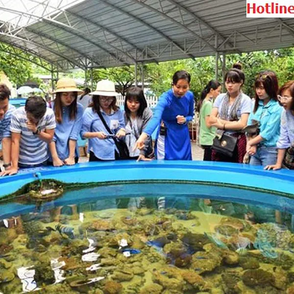 Tour Nha Trang Khởi Hành Từ Tây Ninh