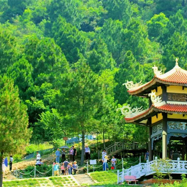 Tour Đà Nẵng Huế Quảng Bình 5 Ngày 4 Đêm