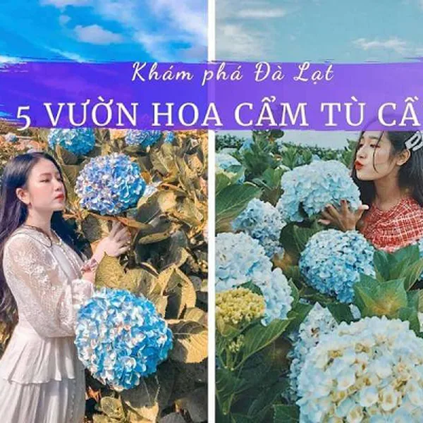 Tour Đà Lạt Khởi Hành Từ Long An