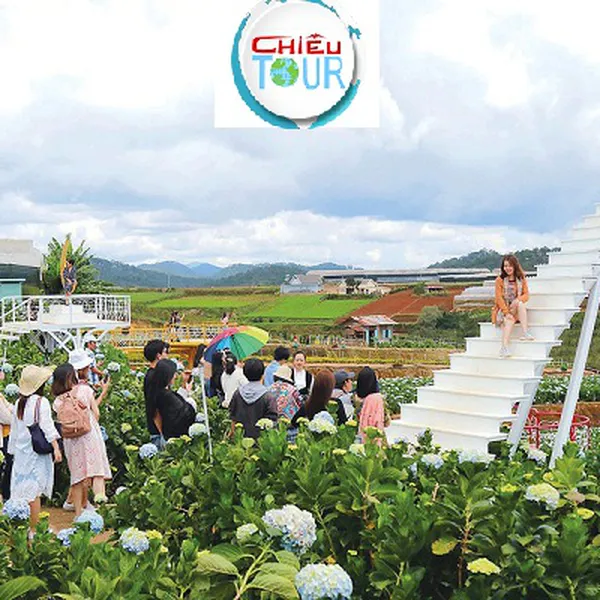 Tour Du Lịch Đà Lạt 3 Ngày 3 Đêm Giá Rẻ