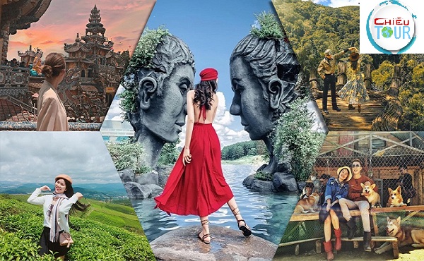 Tour Du Lịch Đà Lạt 3 Ngày 3 Đêm giá rẻ
