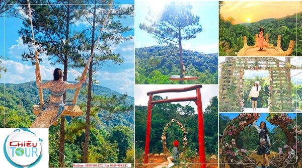 Tour Du Lịch Đà Lạt khởi hành từ Cần Thơ