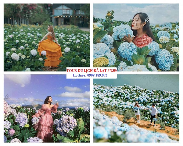 Tour Du Lịch Đà Lạt đi từ Đồng Nai