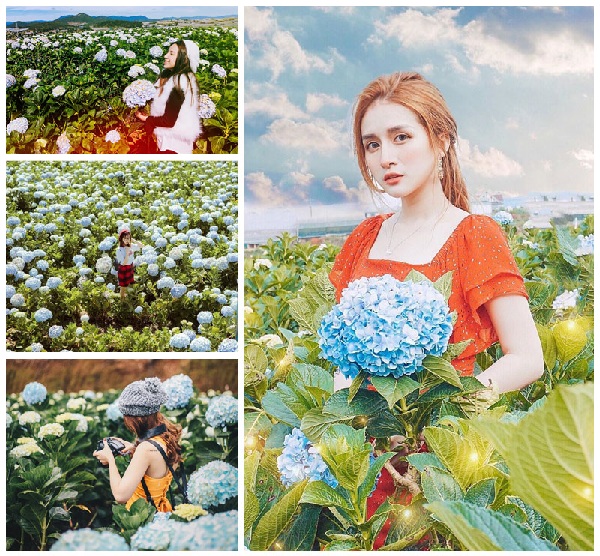 Tour Du Lịch Đà Lạt giá rẻ 4N4Đ