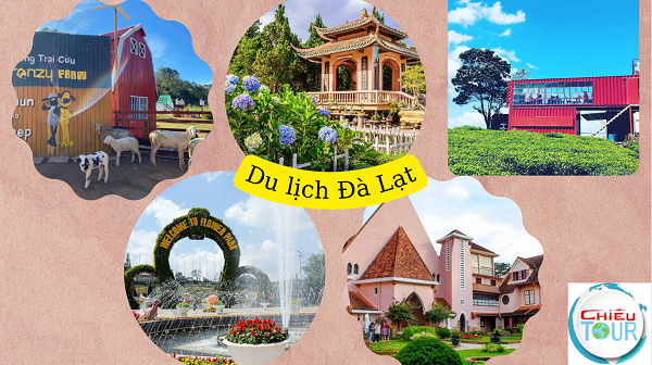 Tour Đà Lạt khởi hành từ Bình Phước 4 Ngày 3 Đêm