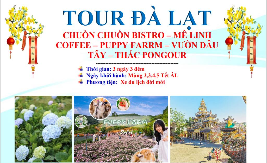 tour-du-lich-da-lat-3n3d-tet-nguyen-dan.jpg