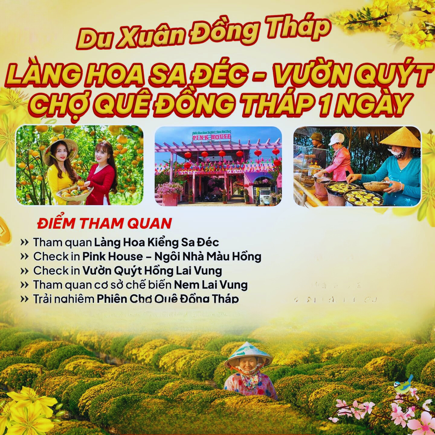 tour-lang-hoa-sa-dec-vuon-quyt-tet-duong-lich.jpg